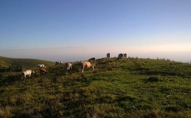 Agriturismo Cascina Dolomiti - Cascina Dolomiti - La nostra carne